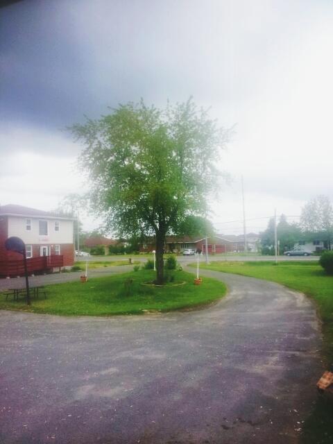 Welcome Traveller Motel Kingston Eksteriør billede